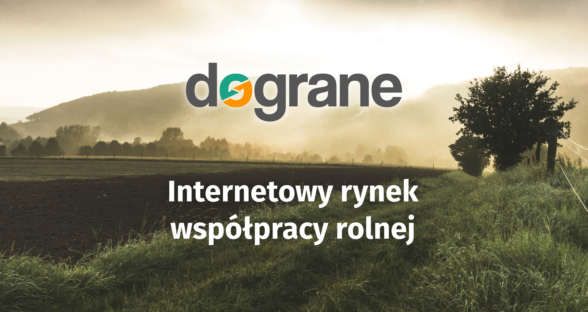 Dograne.pl – czyli jak efektywnie dograć współpracę na rynku